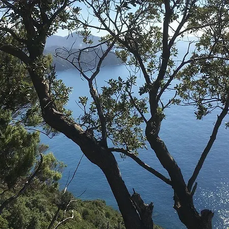 Sesta Terra Natural Framura