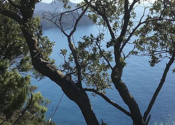 Sesta Terra Natural Framura