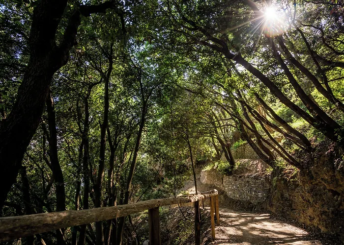 Sesta Terra Natural Hotel 4*